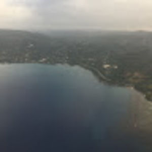 Meet your Posher, Dominique